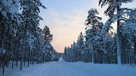 Ruta nevada Ruta nevada