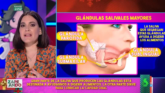 Boticaria García da todas las claves de la saliva: ¿cómo se produce ? ¿cuánta producimos? Boticaria García da todas las claves de la saliva: ¿cómo se produce ? ¿cuánta producimos?