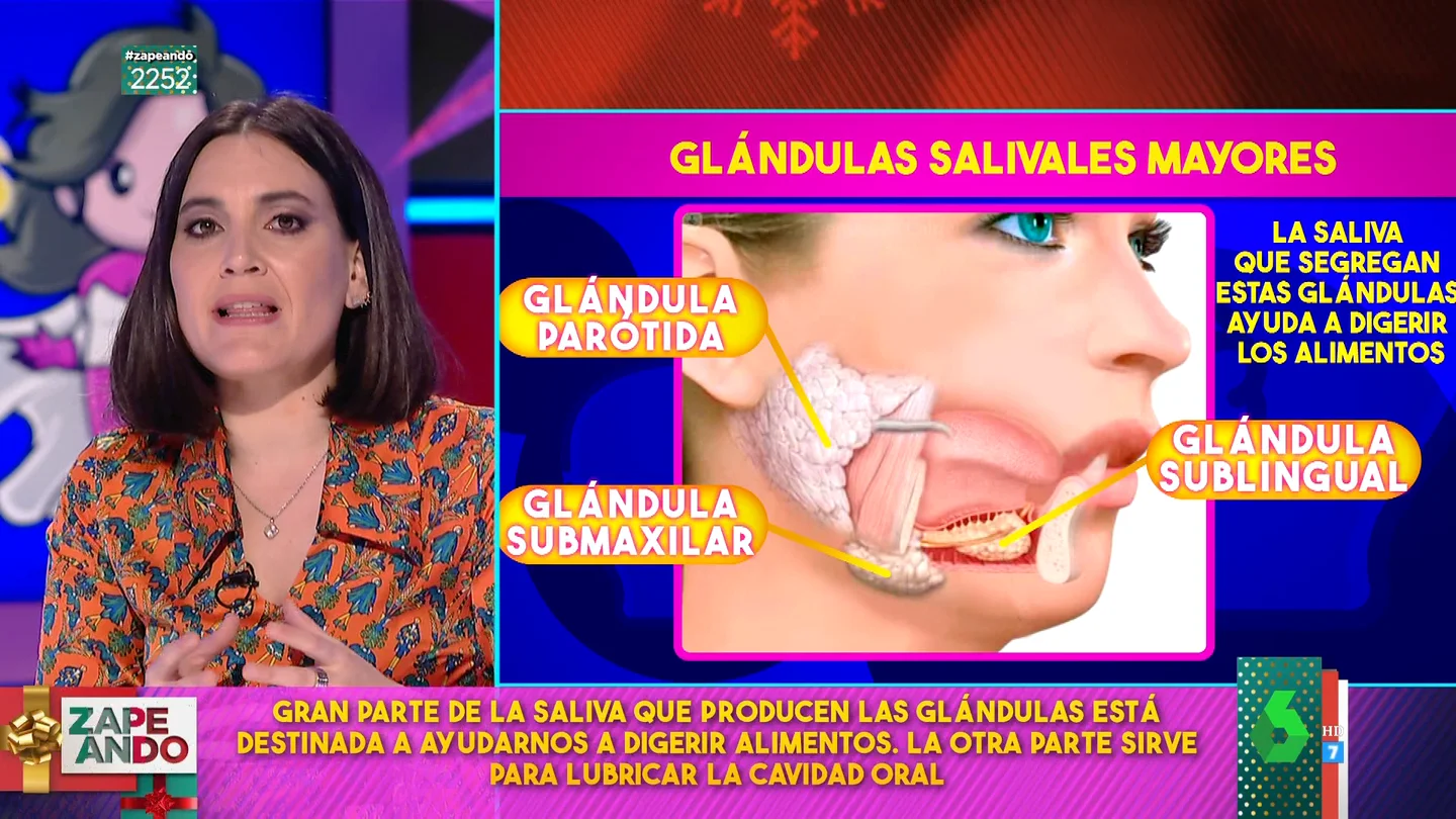 Boticaria García da todas las claves de la saliva: ¿cómo se produce ? ¿cuánta producimos? Boticaria García da todas las claves de la saliva: ¿cómo se produce ? ¿cuánta producimos?