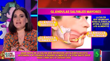 Boticaria García da todas las claves de la saliva: ¿cómo se produce ? ¿cuánta producimos?