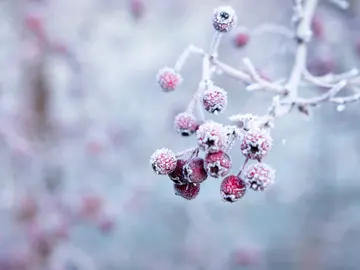 Invierno Invierno