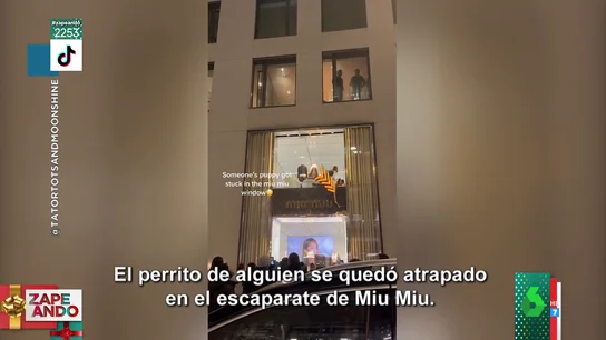 Así intentan rescatar a un perro que se quedó atrapado en el escaparate de Miu Miu Así intentan rescatar a un perro que se quedó atrapado en el escaparate de Miu Miu