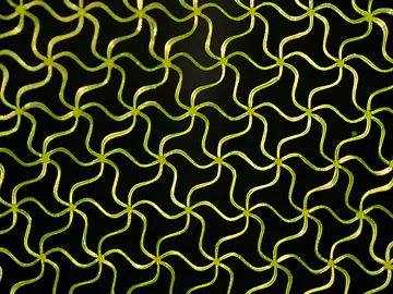 Detalle de la microestructura creada por los investigadores del CSIC Detalle de la microestructura creada por los investigadores del CSIC