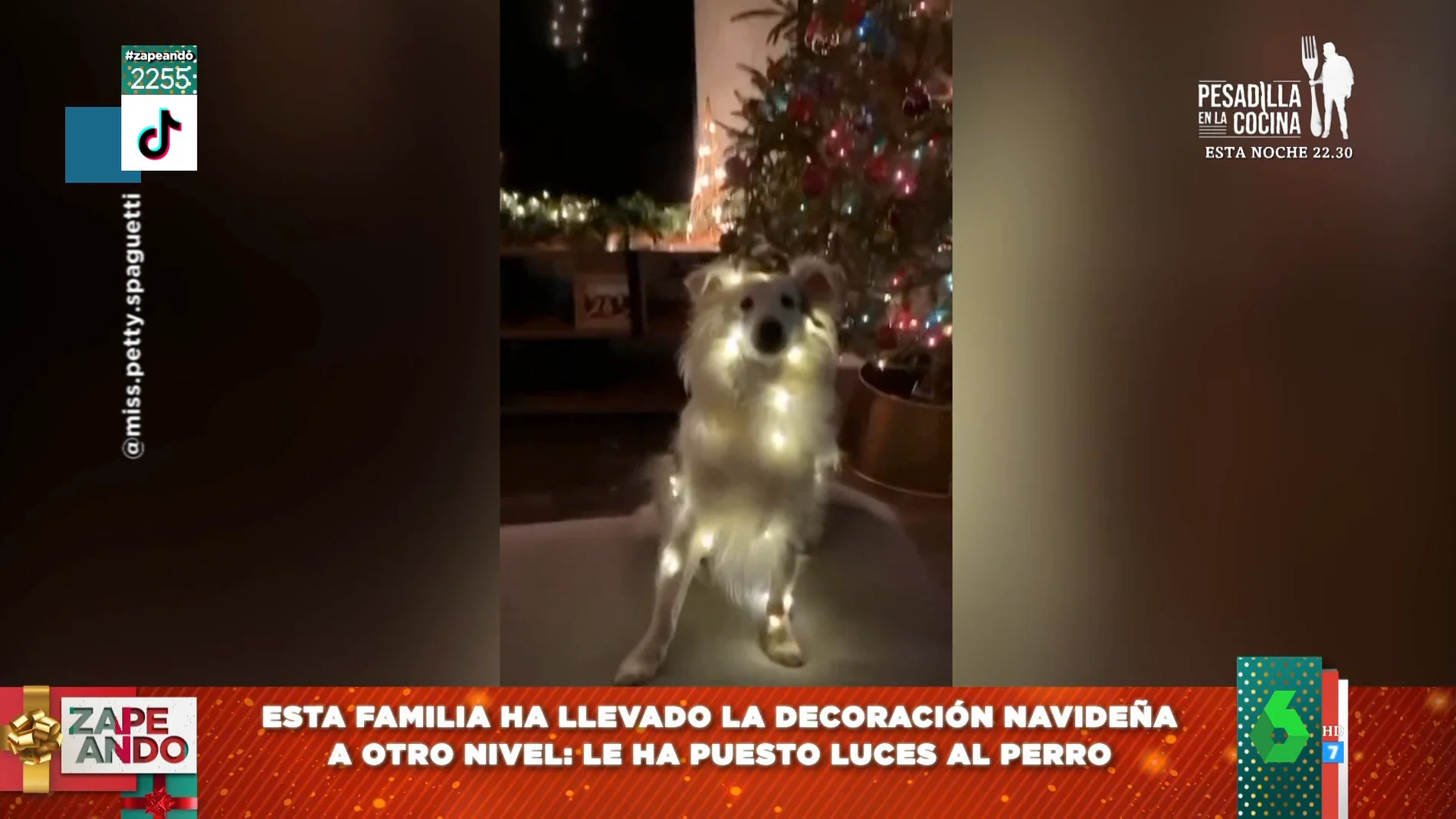 Así decora una familia su casa por Navidad: ¡hasta el perro tiene luces!