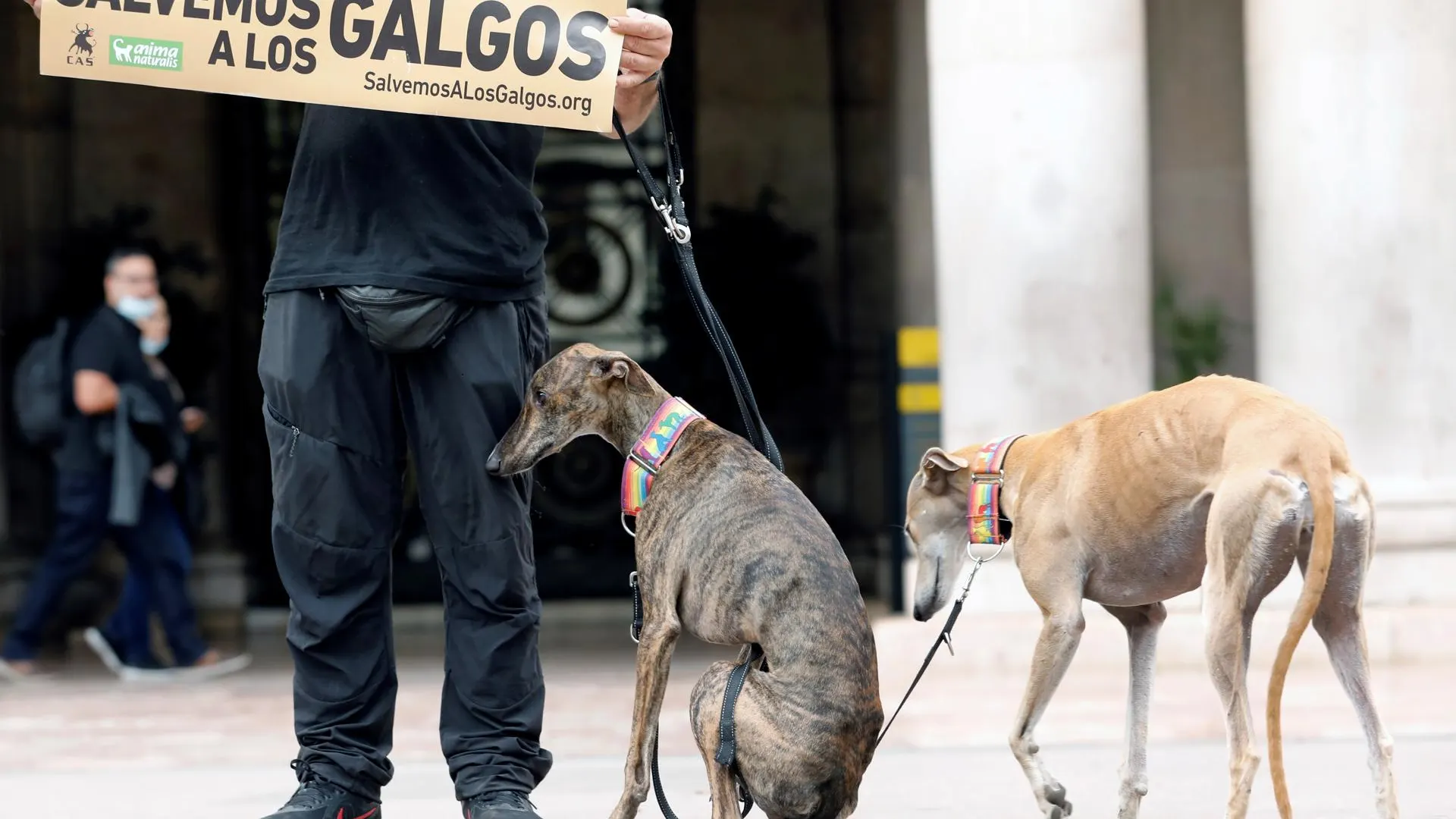 Imagen de archivo de un acto de protesta para exigir la protección para todos los galgos. 