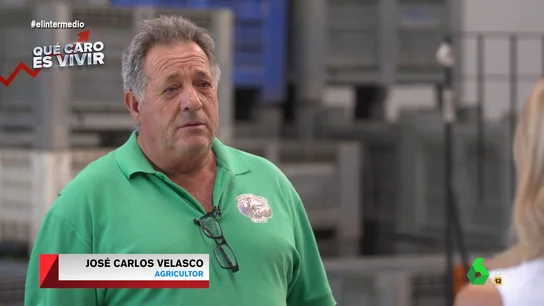 ¿Por qué el precio del melón se ha multiplicado por cinco? ¿Por qué el precio del melón se ha multiplicado por cinco?