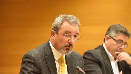 Imagen de archivo de Carlos Flores Imagen de archivo de Carlos Flores