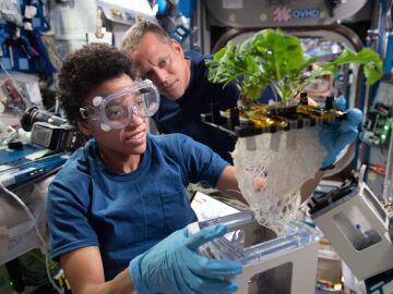 Los astronautas Jessica Watkins y Bob Hines con un cultivo hidropónico en la Estación Espacial Internacional