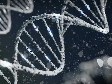 Genes Genes