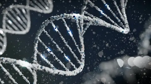 Genes Genes