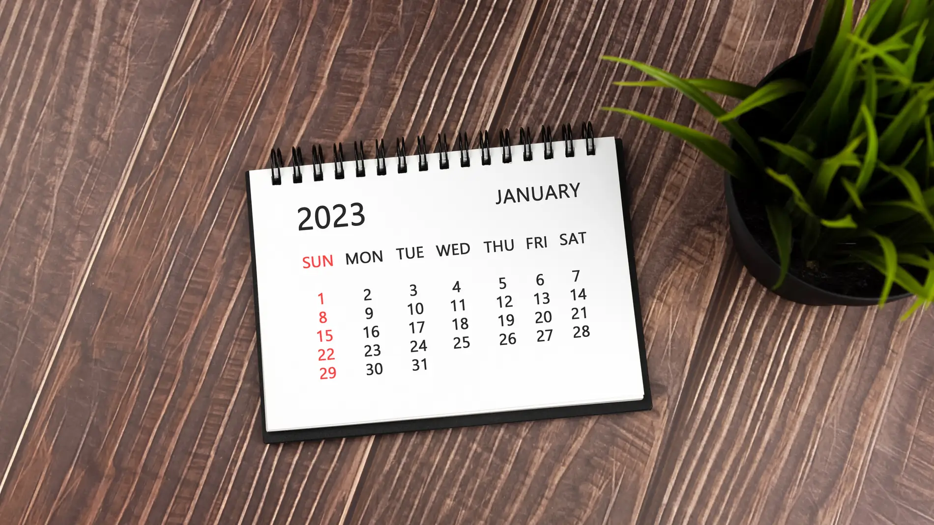 Calendario mes de enero 2023