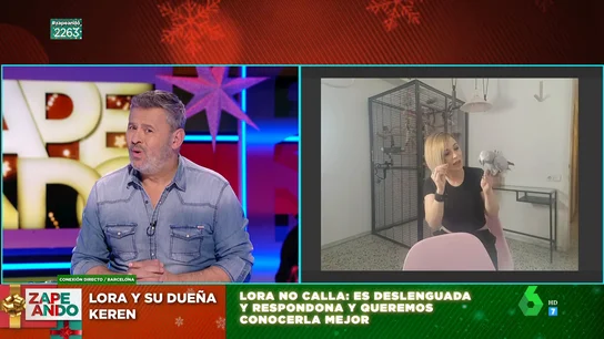 La surrealista entrevista de Zapeando con un loro en directo La surrealista entrevista de Zapeando con un loro en directo