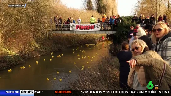 Reino Unido vuelve a celebrar su tradicional carrera de patos de goma Reino Unido vuelve a celebrar su tradicional carrera de patos de goma