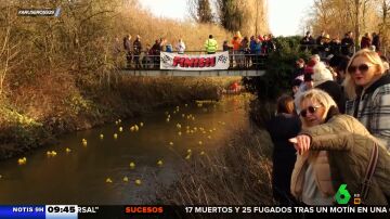 Reino Unido vuelve a celebrar su tradicional carrera de patos de goma