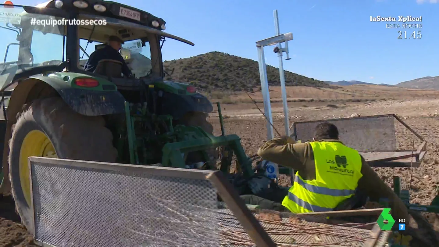 "Es como si todos los años tocara la Lotería": la almendra, el negocio que reparte 25 millones entre los 2.000 habitantes de un pueblo granadino "Es como si todos los años tocara la Lotería": la almendra, el negocio que reparte 25 millones entre los 2.000 habitantes de un pueblo granadino