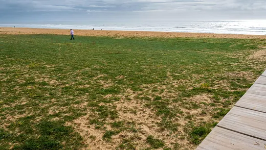 La explicación al curioso fenómeno que atrae a cientos de personas a una playa de Lepe, Huelva La explicación al curioso fenómeno que atrae a cientos de personas a una playa de Lepe, Huelva