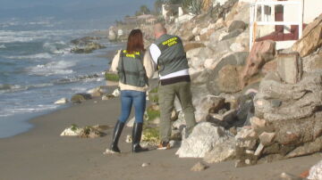 Playa donde fue hallado el cadáver mutilado en Marbella