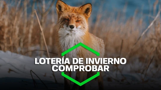 Comprobar Lotería Nacional | Sorteo de Invierno de hoy, 14 de enero Comprobar Lotería Nacional | Sorteo de Invierno de hoy, 14 de enero