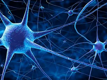 Ilustración de neuronas Ilustración de neuronas