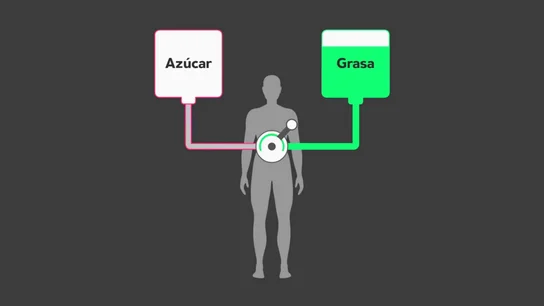 Dieta keto: eliminar los hidratos de carbono aumentando la ingesta de grasas Dieta keto: eliminar los hidratos de carbono aumentando la ingesta de grasas