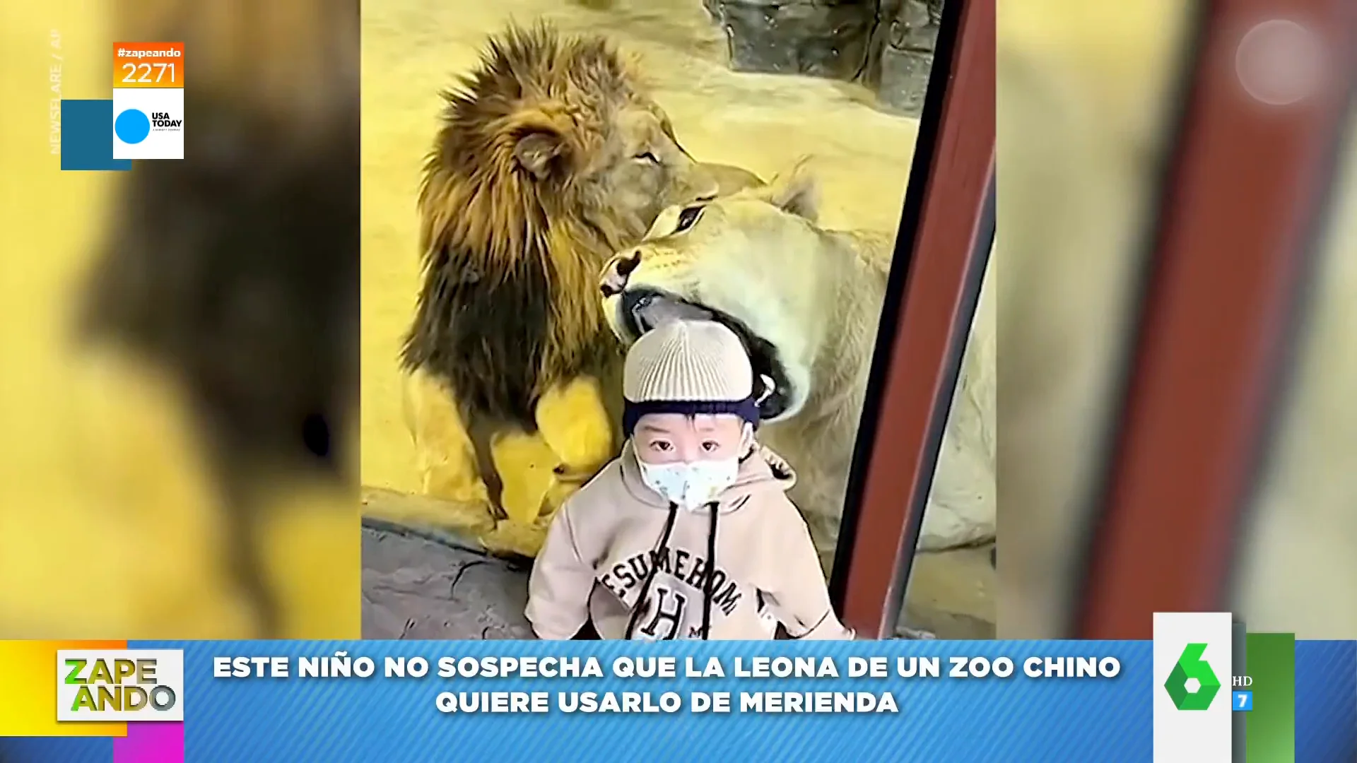 El viral de cómo una leona intenta comerse la cabeza de un niño en un zoo