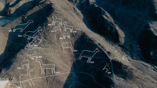 Figuras pertenecientes a las Líneas de Nazca descubiertas por investigadores de la Universidad de Yamagata Figuras pertenecientes a las Líneas de Nazca descubiertas por investigadores de la Universidad de Yamagata