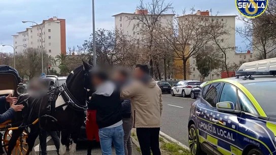 Imagen del caballo una vez controlado. Imagen del caballo una vez controlado.