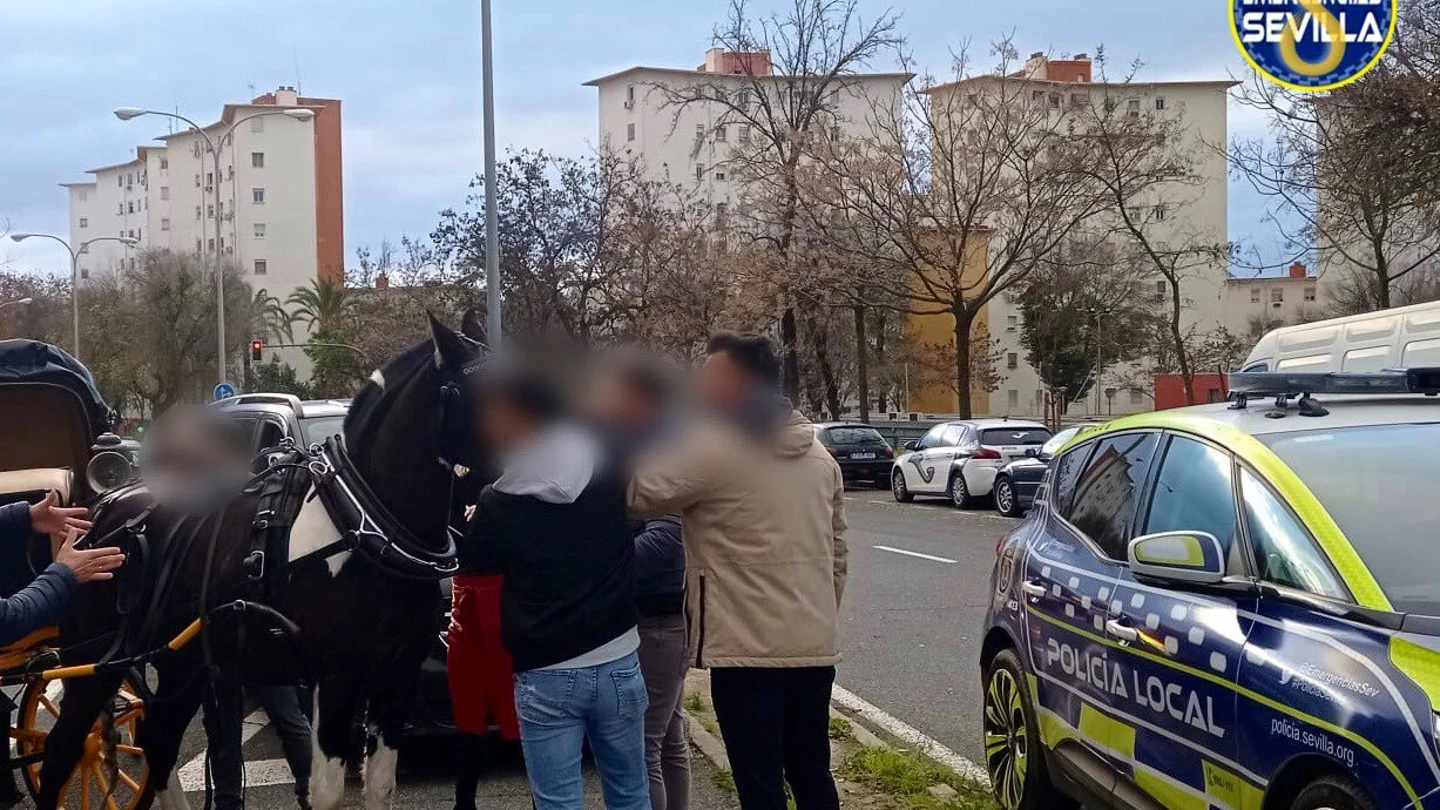Imagen del caballo una vez controlado. Imagen del caballo una vez controlado.