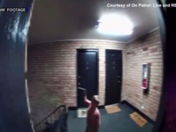 They arrest the father of a baby who walked on the landing with a loaded gun