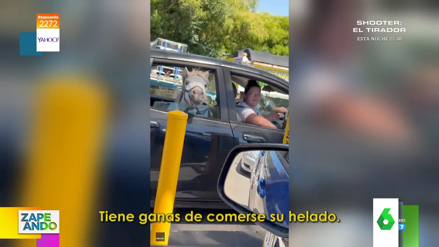 El inesperado acompañante que lleva una mujer montado en su coche: ¡es un caballo! El inesperado acompañante que lleva una mujer montado en su coche: ¡es un caballo!