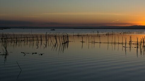 Parque Natural de la Albufera