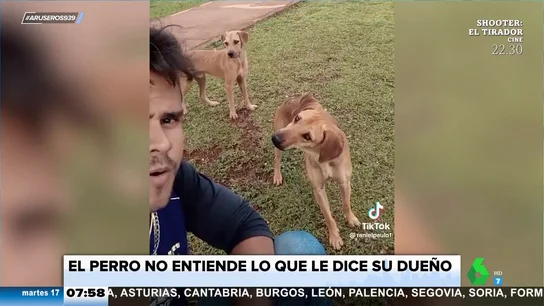 La curiosa reacción de estos perros cuando su dueño empieza a ladrar La curiosa reacción de estos perros cuando su dueño empieza a ladrar