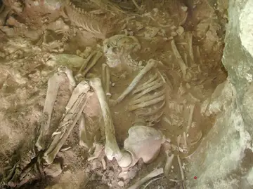 Asi era la dieta y organizacion social en Menorca durante la Edad de Bronce Asi era la dieta y organizacion social en Menorca durante la Edad de Bronce