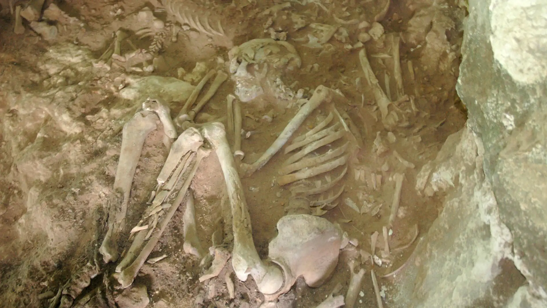 Asi era la dieta y organizacion social en Menorca durante la Edad de Bronce Asi era la dieta y organizacion social en Menorca durante la Edad de Bronce