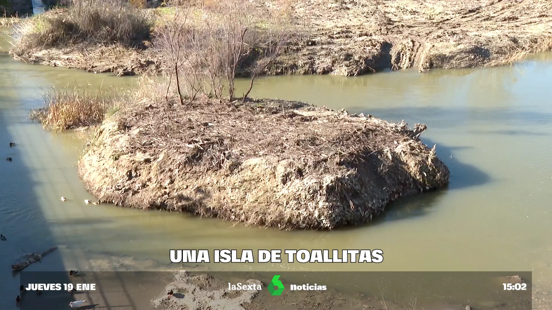 isla toallitas