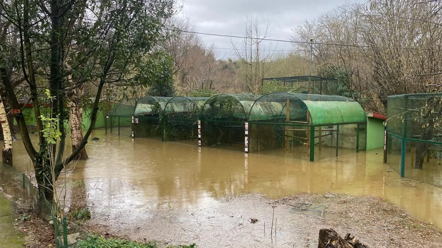 El zoo de Santillana del Mar, inundado El zoo de Santillana del Mar, inundado