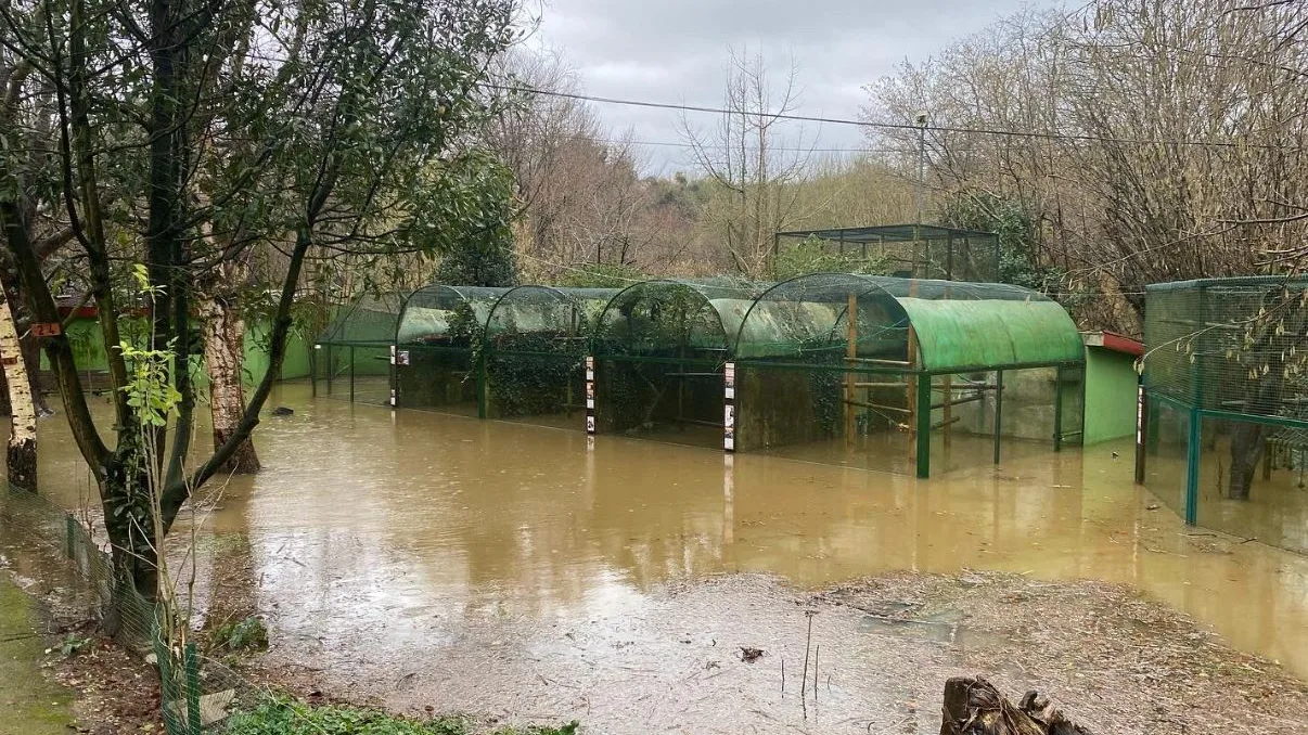 El zoo de Santillana del Mar, inundado