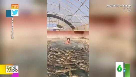 El sorprendente viral de un niño nadando en una piscina repleta de cocodrilos El sorprendente viral de un niño nadando en una piscina repleta de cocodrilos