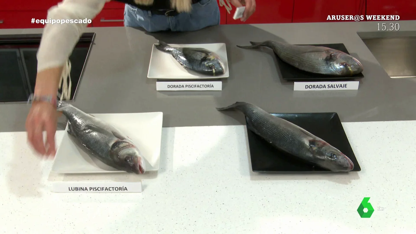 Pescado salvaje o de piscifactoría: ¿cuál deberías consumir y por qué? Pescado salvaje o de piscifactoría: ¿cuál deberías consumir y por qué?