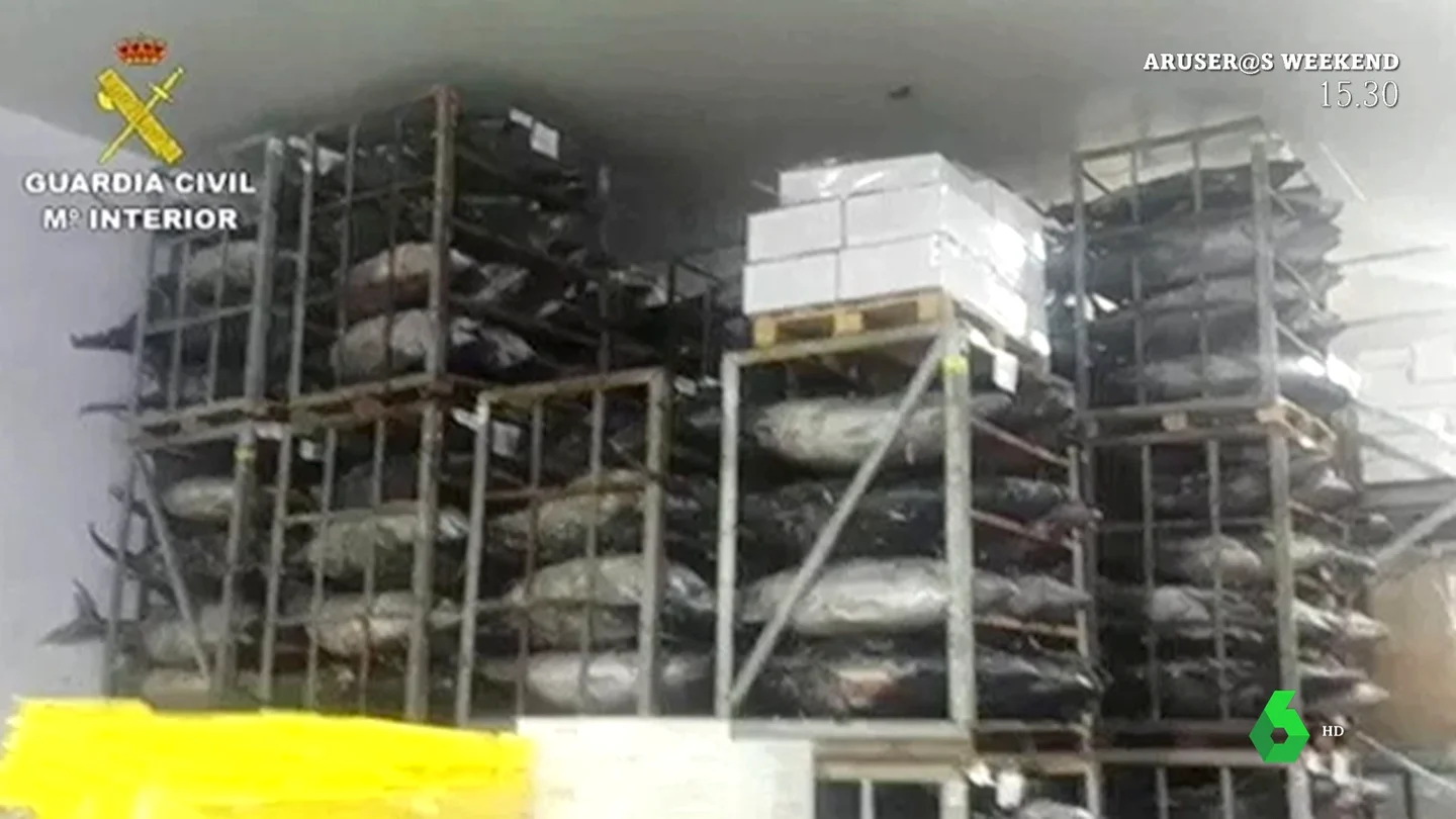 Intoxicaciones alimentarias por histamina al comer atún: los especialistas advierten del riesgo Intoxicaciones alimentarias por histamina al comer atún: los especialistas advierten del riesgo