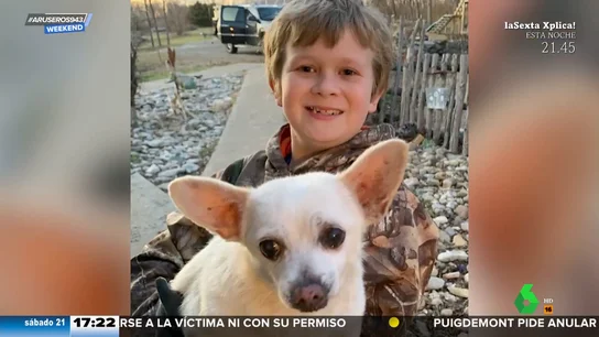 El perro más longevo del mundo puede que no sea como lo has imaginado El perro más longevo del mundo puede que no sea como lo has imaginado