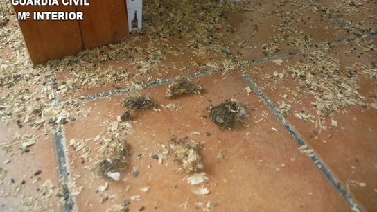 Hallan animales muertos de inanición en una tienda de mascotas de Tenerife. Hallan animales muertos de inanición en una tienda de mascotas de Tenerife.