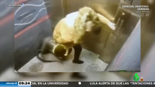 Sube al ascensor con un aspirador sin percatarse de que el cable se queda fuera: "Parece un toro mecánico" Sube al ascensor con un aspirador sin percatarse de que el cable se queda fuera: "Parece un toro mecánico"
