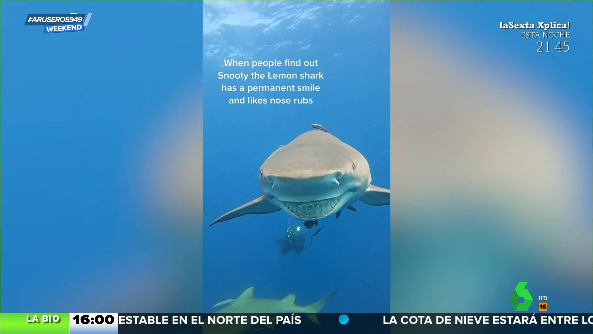 "Quizás la sonrisa no es muy favorecedora", ha reconocido Segura