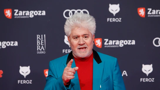 El cineasta Pedro Almodovar posa a su llegada a la ceremonia de entrega de la décima edición de los Premios Feroz El cineasta Pedro Almodovar posa a su llegada a la ceremonia de entrega de la décima edición de los Premios Feroz