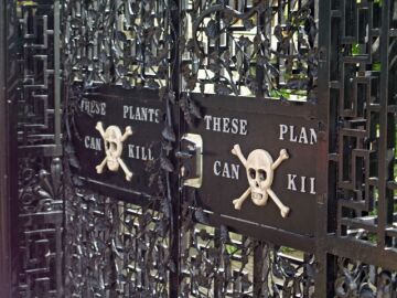 Alnwick Poison Garden, el jardín más peligroso del mundo, está en Inglaterra