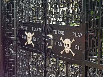 Alnwick Poison Garden, el jardín más peligroso del mundo, está en Inglaterra Alnwick Poison Garden, el jardín más peligroso del mundo, está en Inglaterra