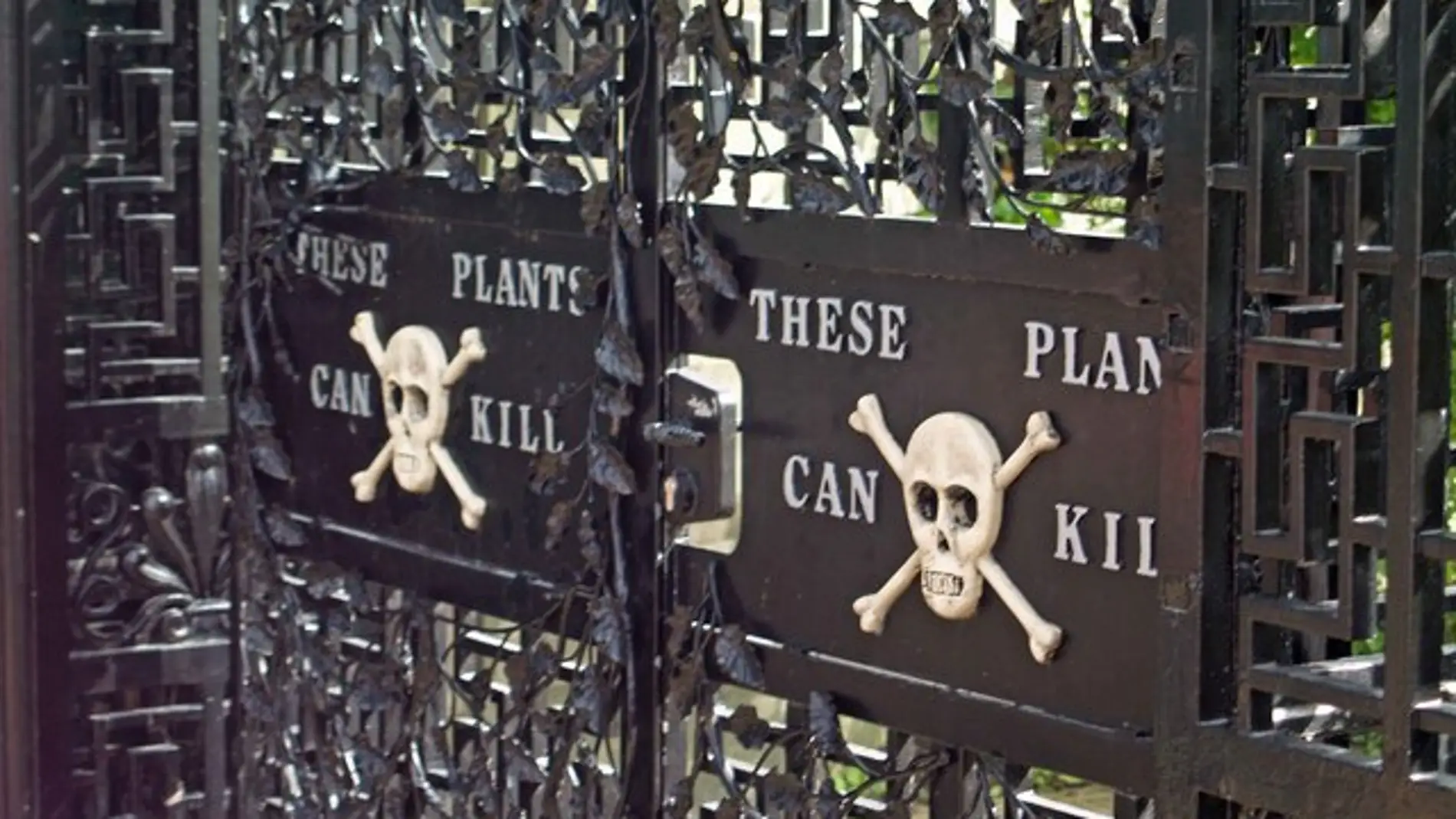Alnwick Poison Garden, el jardín más peligroso del mundo, está en Inglaterra