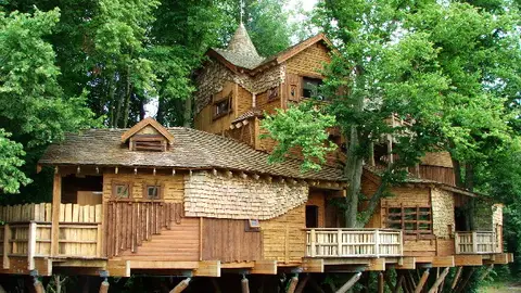 Treehouse. Jardines de Alnwick Treehouse. Jardines de Alnwick