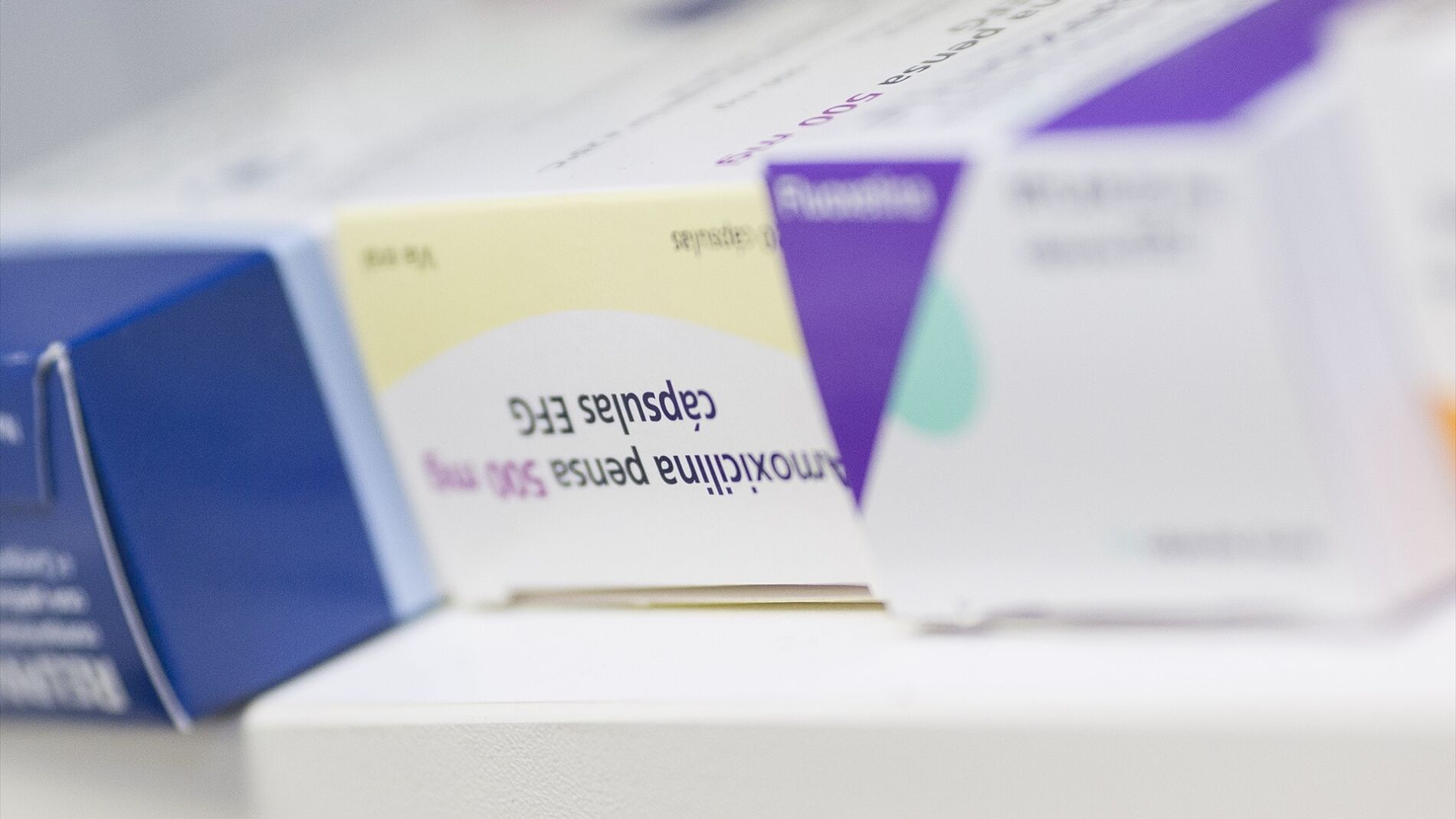 amoxicillin capsulas